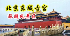 男生猛操女生下面视频网站中国北京-东城古宫旅游风景区